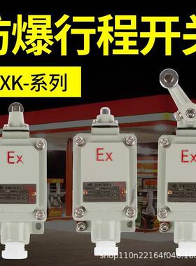 EX防爆行程开关限位开关LX-15RB110L110Z211B221212