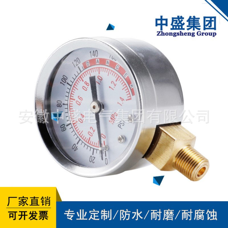 YZS-102双针双管压力表