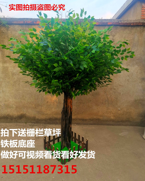 Ψ榕树大型假树室内道具实木落地装饰大厅景观树造景