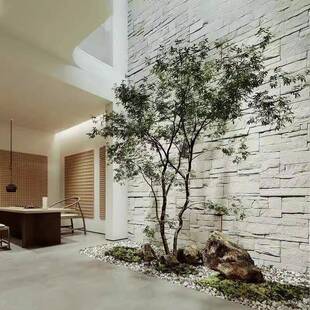 真树绿装饰室内植外景观造景南50062仿天竹树鸡爪槭天井橱窗套装