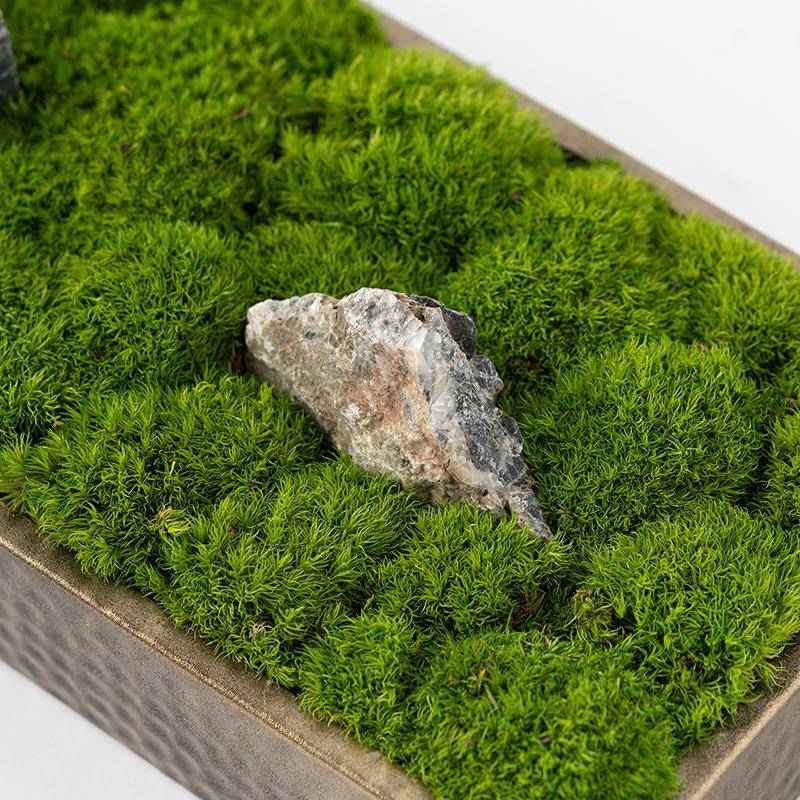 新中式永生苔藓干花绿植景盆装饰玄议关餐几桌茶NIL会桌洽谈桌摆