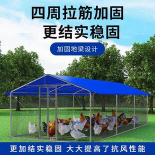 鸡棚鸡笼户外家禽养殖笼雨棚骨遮架挡风防子雨防简TZA晒易棚搭建