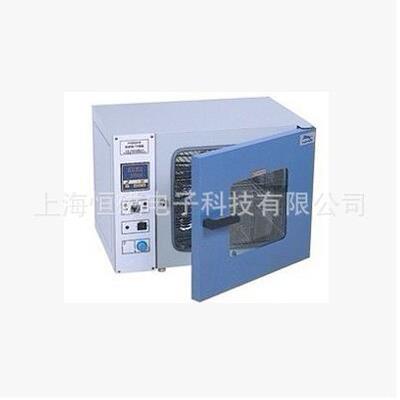 上海一恒立式鼓风干燥箱DHG-9420A