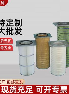 供应除尘滤芯储料仓ST3NNY-GHJ-LT-J00004机械设备除尘滤芯