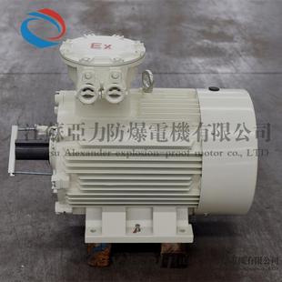 22KW防爆电机矿用采煤电机防爆采煤电机 YB3YBX3 180L