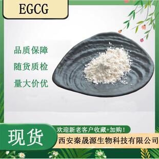 EGCG50%98%表没食子儿茶素品质保证现货直销没食子酸酯茶多酚