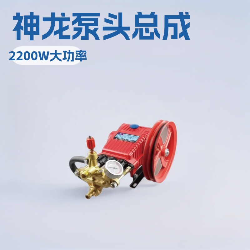 上海神龙牌QL258型358型高压清洗机洗车泵刷车器原装泵头总成机头