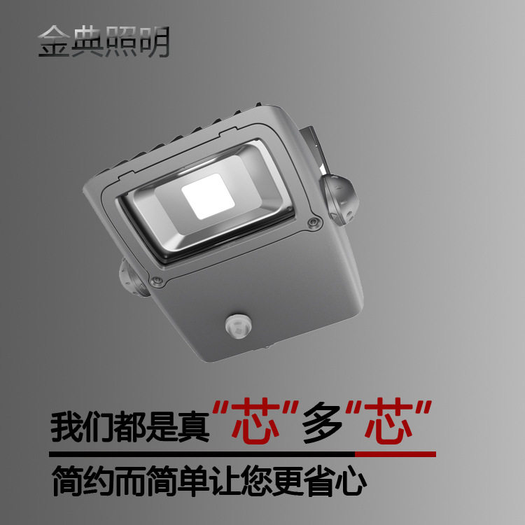 200W外贸出口LED投光灯出口LED泛光灯LED投光灯泛光灯