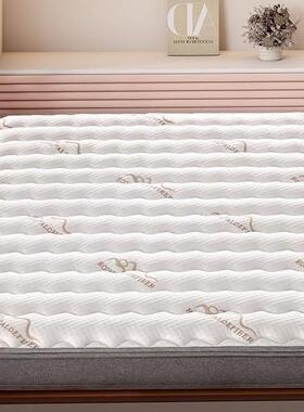 垫椰棕厚2C0cVVUm簧天然椰棕垫家床用乳胶弹硬垫子D189