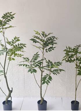仿真绿植漆木盆栽室ONY内客厅地落高植物香椿树家居装饰摆件树端