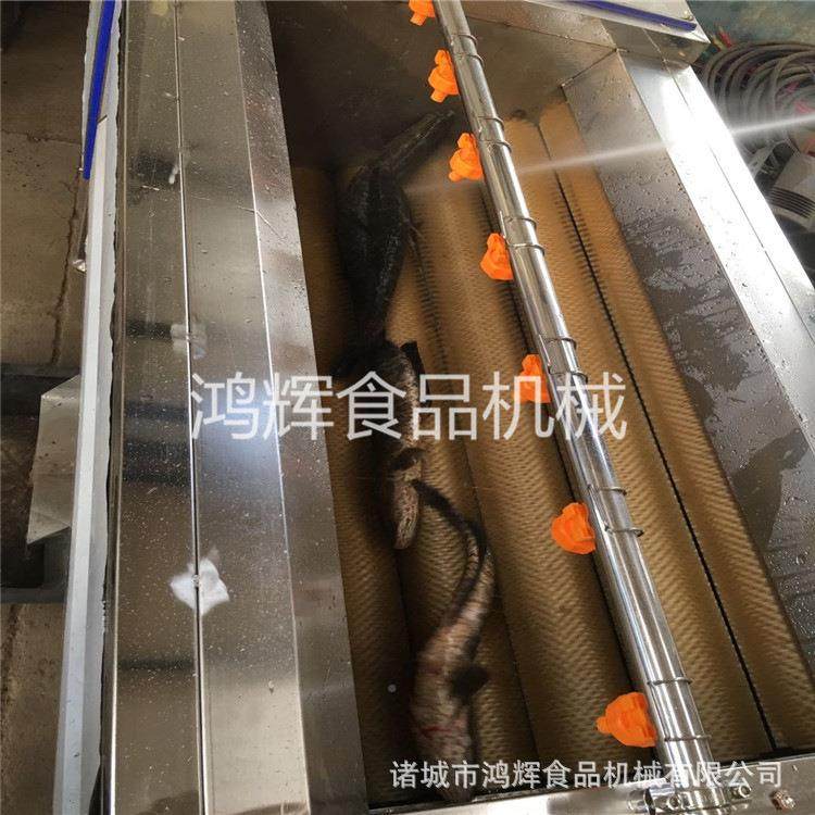 厂山东洗鱼鳞去机家全自动48474萝卜毛刷清洗机锈钢喷淋不洗菜机