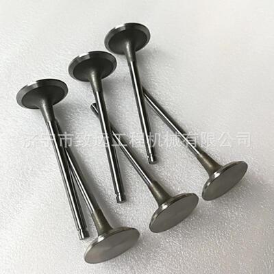 机推土机水泵紧轮节温涨器SD1，SD车垫油泵全车垫汽缸全垫汽缸