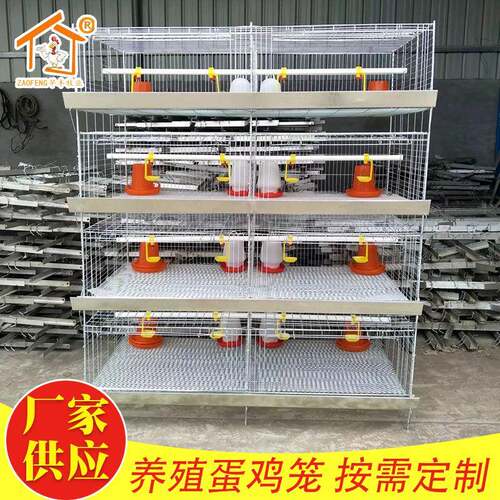 养殖蛋鸡笼供应各型号母鸡笼养殖设备下蛋养殖器材阶梯式鸡笼