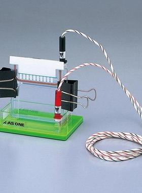 电泳仪IEP-10102-5021