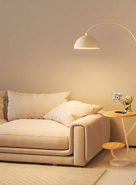 奶油落风沙旁边的地灯发厅装饰摆件置物架卧室QSF床客头柜台灯一