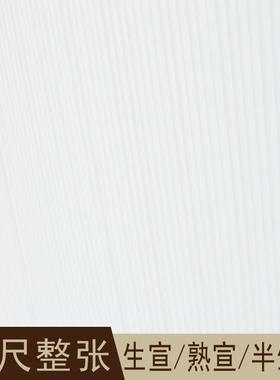 书法专用作纸品国画书法创作宣工笔画专用熟宣RSX纸初学纸者四纸