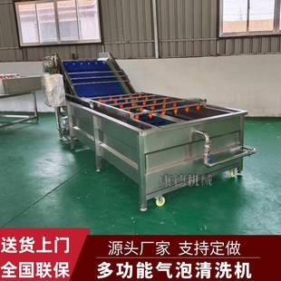 腌渍姜片脱盐气泡清洗机青梅清洗风干线柠檬百香果全自动清洗机