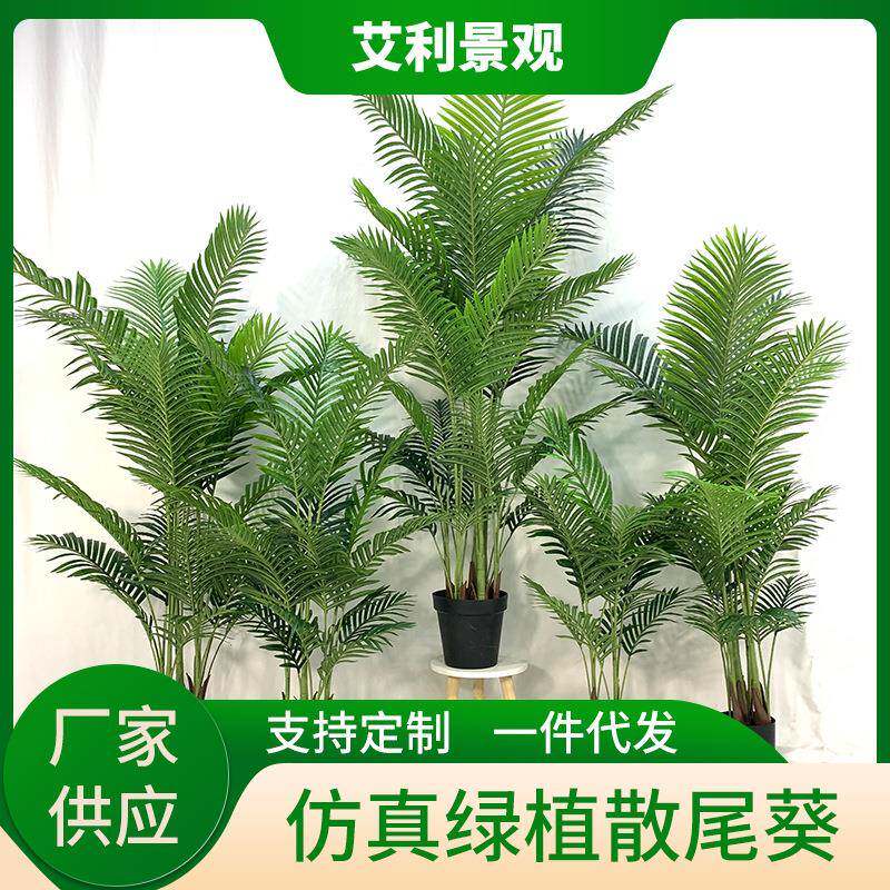 绿植散尾葵北欧家居装饰假树盆栽盆景凤尾葵摆件