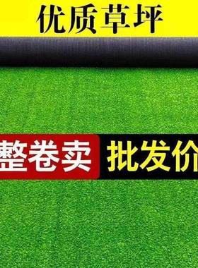 假仿真庭草坪地毯地围挡草皮幼儿园绿地绿植人造81520户工外院装