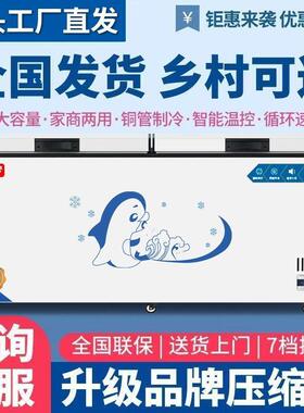 冰柜PVL商用全大管容量全冷藏冷冻单温双温两速用铜卧式冰柜家用