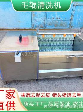 大产量高15910速花生清洗清机子毛刷地瓜去皮洗机处辣丝前理清洗
