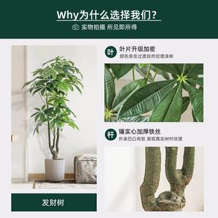 发仿财树真植招财高绿轻奢室内客厅落端地式大型仿生85226装饰摆