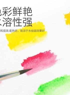 水彩明颜料24色12m管54525状初学术家艺专用水颜彩料透度高