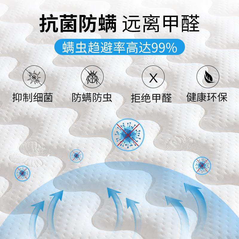 椰棕床椰棕垫垫天子老人偏硬垫床垫棕然折叠床593垫家用偏硬