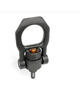 LFEElesa+Geantr螺纹吊环销5GN113系列GN1135-M712-1-ST