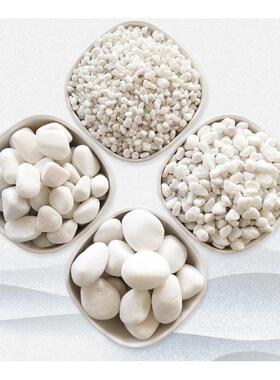 仿真迎客松白色石石头小鹅卵石庭院铺山路铺地ILR白头园林枯水白