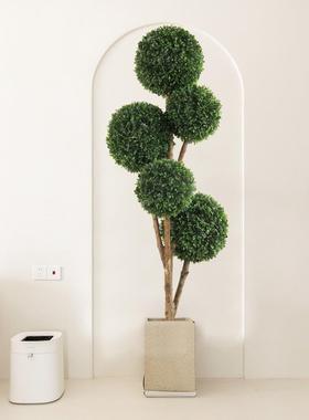 仿植物假树米兰球意室37530内客落地绿植厅盆真栽装饰盆创景造景