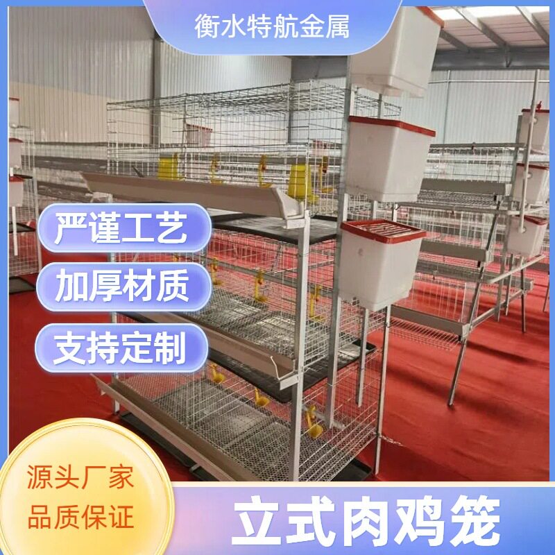 立式三层肉鸡笼各种鸡笼养殖设备 养殖场鸡舍家用镀锌防锈