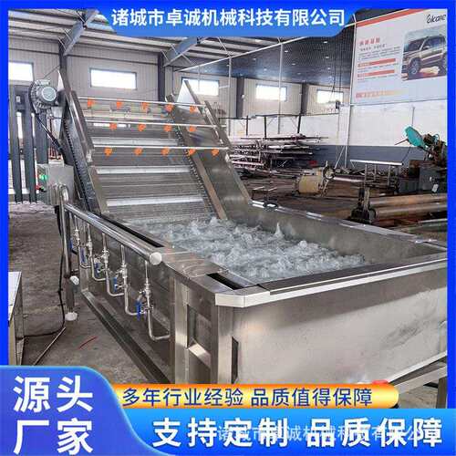 全自动水果蔬菜气泡式大型清洗机多功能去农残清洗设备