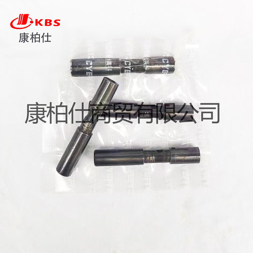 现货3009380-4桔调速器柱塞总成/适用康明斯柴油燃油发动机配件