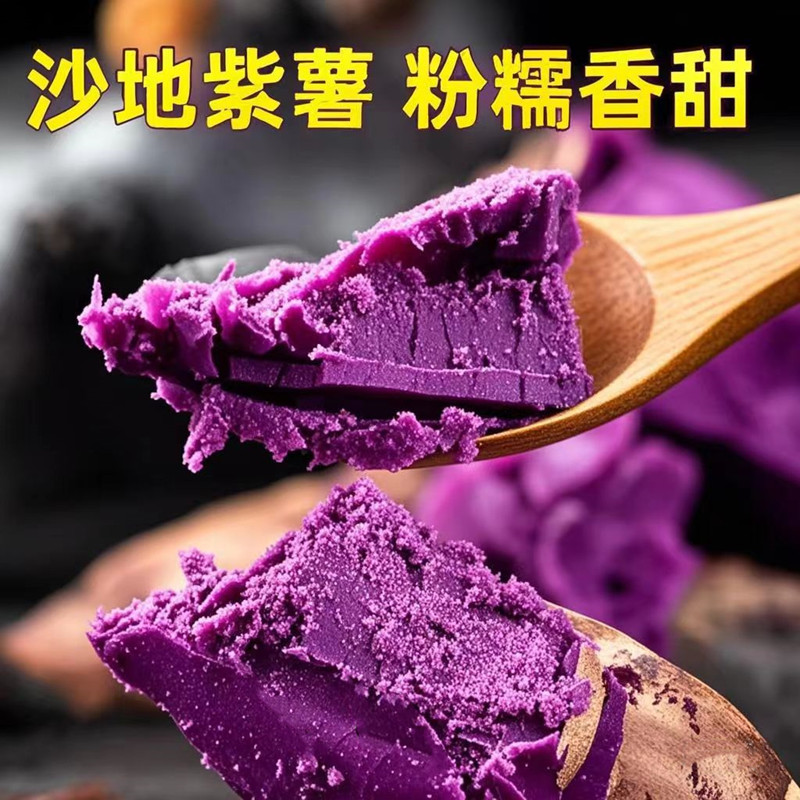 新鲜紫薯中果新鲜红薯山芋香薯