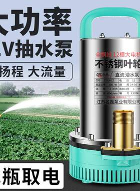ll12v大功率抽水泵小型家用电瓶直流潜水泵24v抽水浇菜农用灌溉机