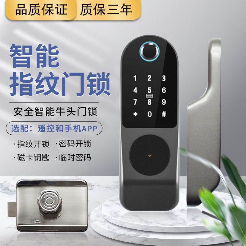 家用电控锁指纹锁密码锁遥控智能老式铁门禁家用牛头锁外装门锁
