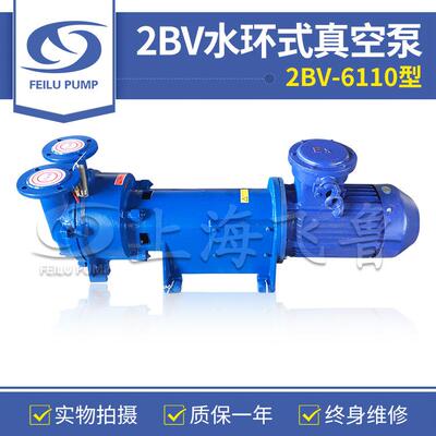 直销4kw防爆型水环泵2BV6110型真空泵铁矿厂水环式真空泵