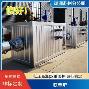 瑞源非标防爆联苯加热器蒸气发生器化纤化工联苯炉