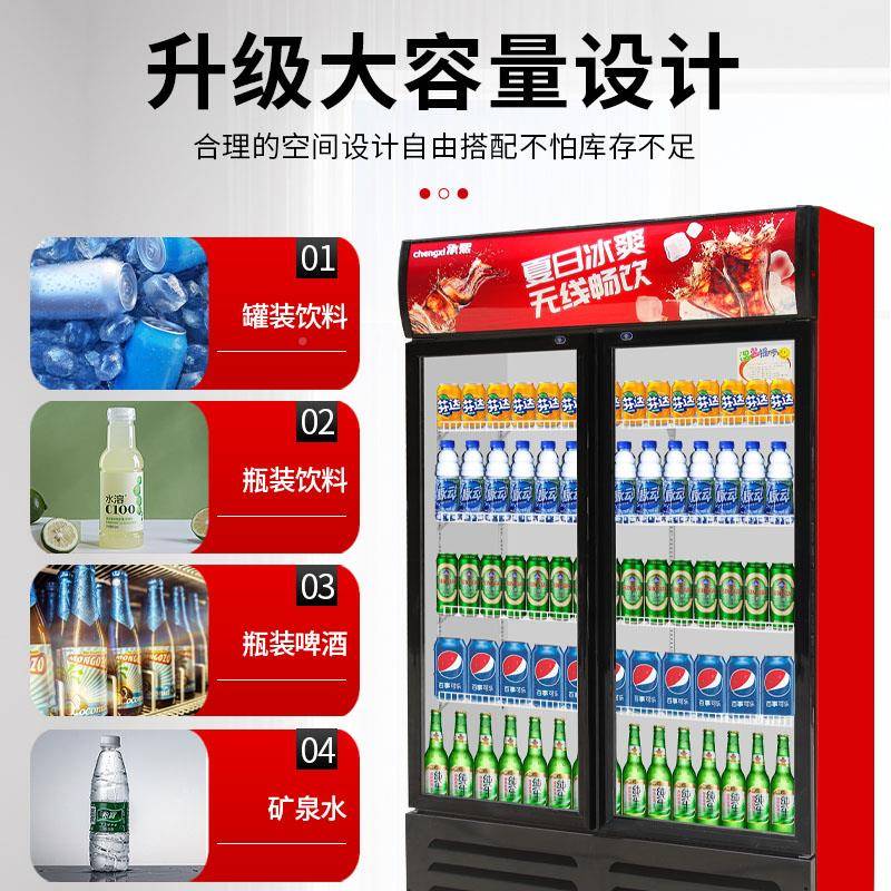 门立式双门冷展示柜柜冰箱单商用保495鲜柜料柜冰柜藏饭店饮啤酒