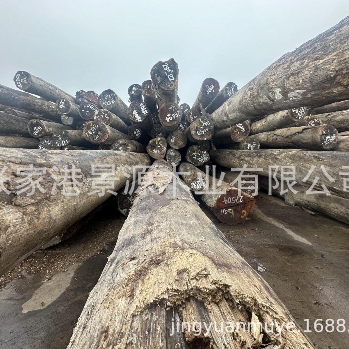菠萝格原木户外地板料 硬木古建原木柱子加工 尺寸