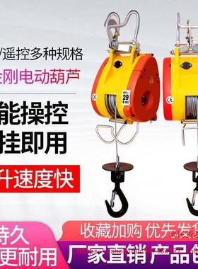 小金电刚电动葫芦20v小型机家用小型升降遥控YWC2便携吊式钢丝绳