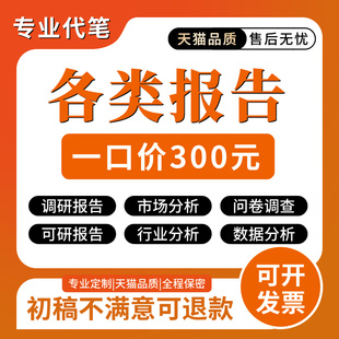 代写调研报告代笔行业数据分析报告市场调研调查可行性研究方案