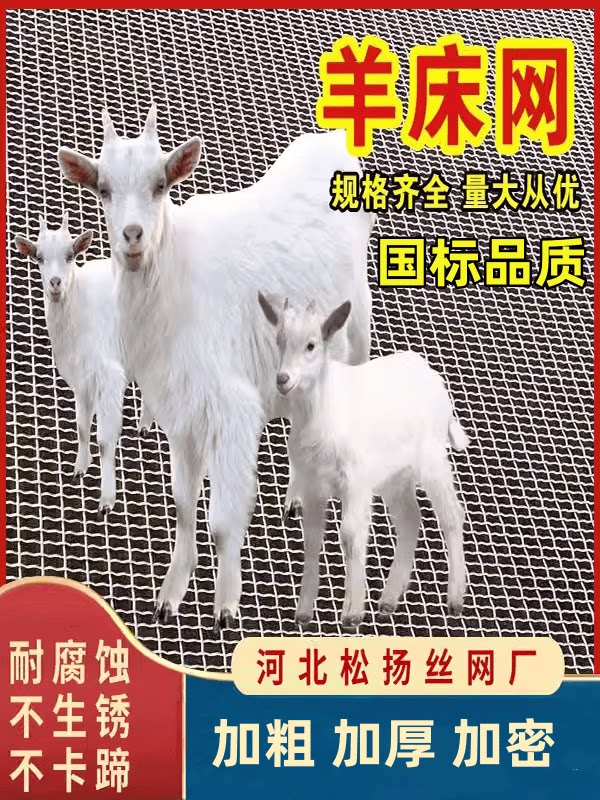 热镀锌钢丝羊床漏粪网鸡鸭鹅漏粪底网养羊钢丝网养殖网围网铁丝网