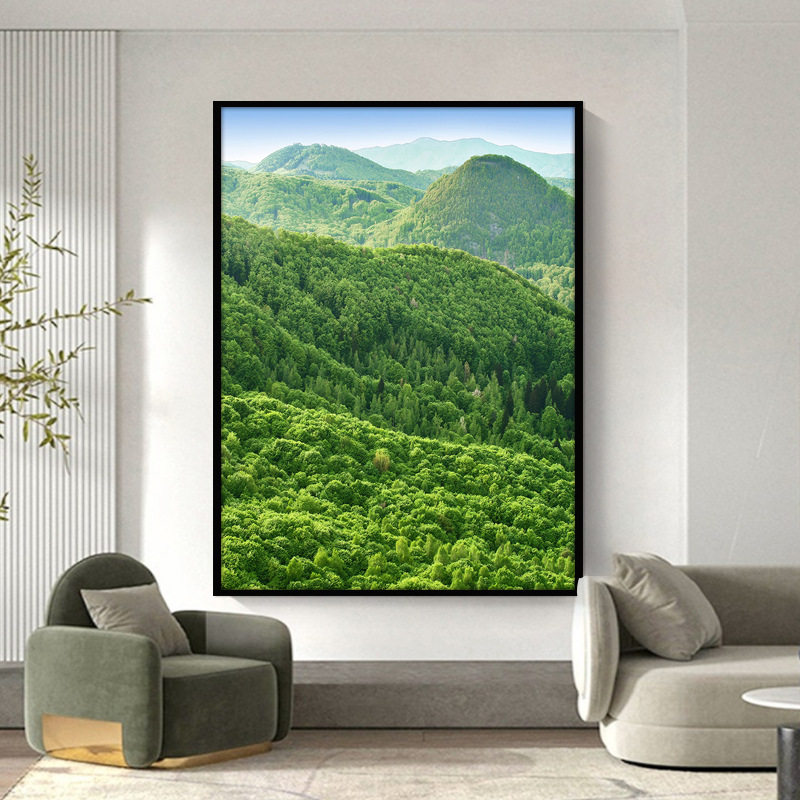 山脉森林玄关走廊装饰画