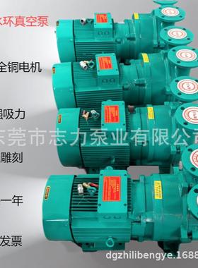 水环真空泵2BV260/2061/2070/2071/15100/5111//51215131/5SJY161