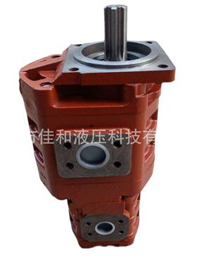 徐工配套用齿轮泵CBGJ3100/1010/XF装载机转向泵铸铁双联泵