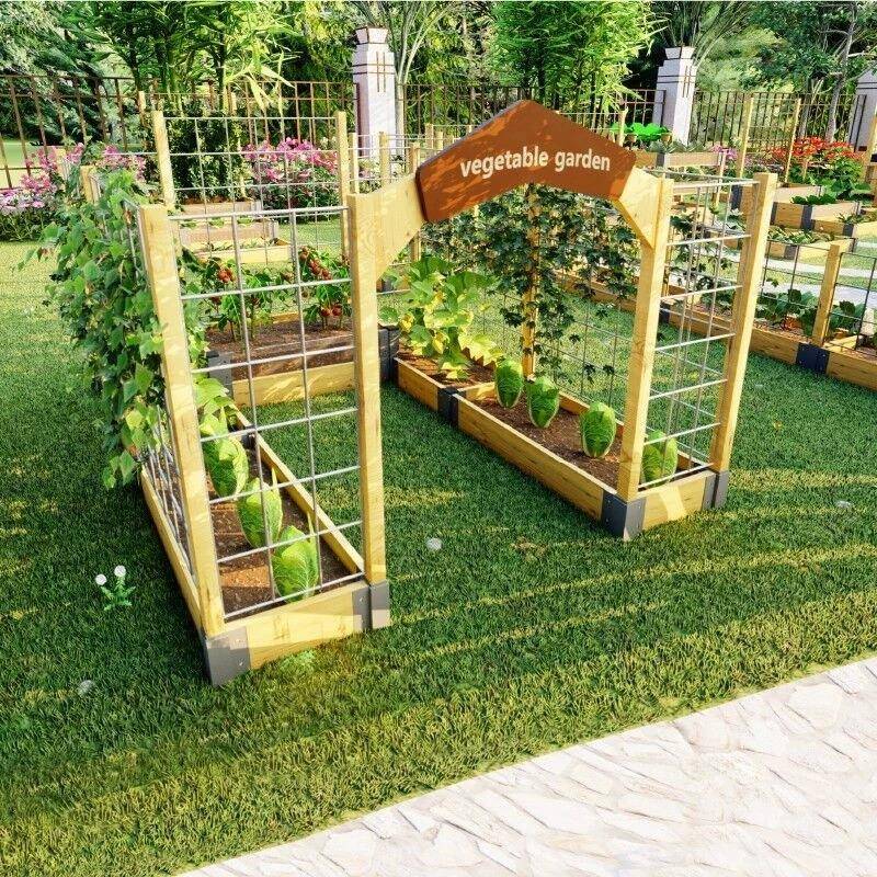 幼儿园童室农场木系列种植外区爬藤花架菜园质种植育苗观察花HDV