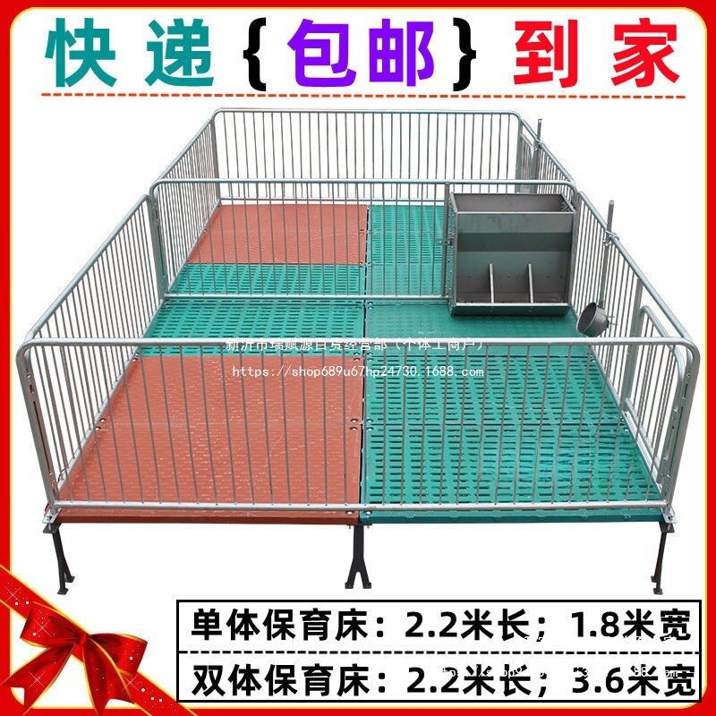 仔猪保育床单体保育床双体保育床母猪产床定位栏仔猪分娩床连体床