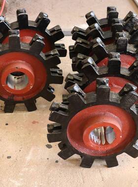 提齿升机多链轮NSNL矿用斗式提升机链条传动链轮E30板齿链健链轮